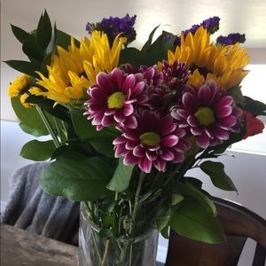 Meet your Posher, Shelby